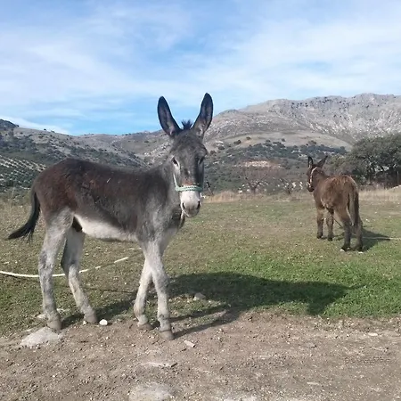 Holiday home Cortijo El Llano Las Lagunillas