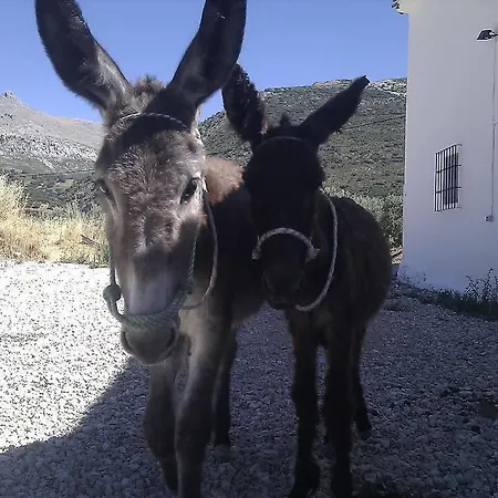 Holiday home Cortijo El Llano