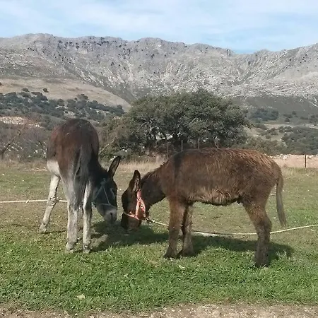 Cortijo El Llano Las Lagunillas